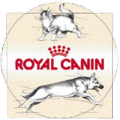 Organizacja imprezy firmowej dla Royal Canin w Krakowie